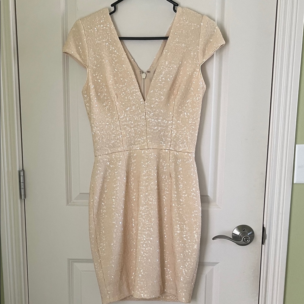 Dress the Population Sequin Dress